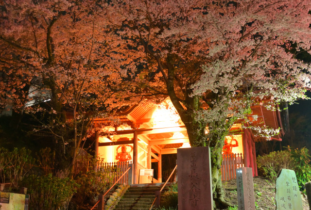 飯山白山森林公園「第62回あつぎ飯山桜まつり」